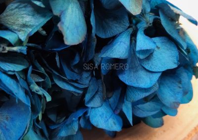 hortensia preservada azul