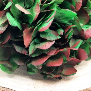 hortensia preservada verde roja