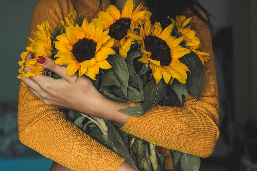 girasoles