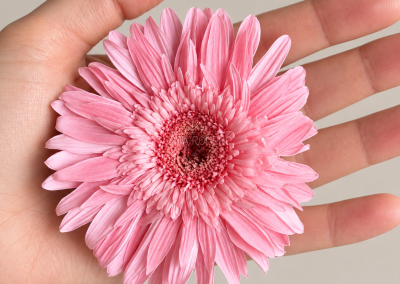 Gerbera-preservada-natural-con-tallo