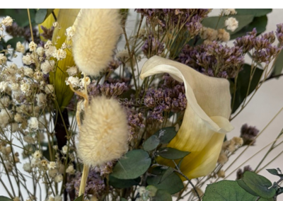 calas_preservadas_naturales